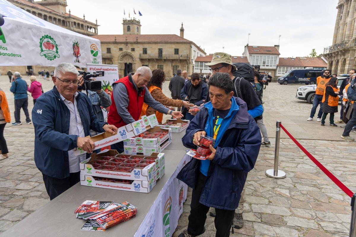 Reparten fresas de Huelva en la plaza del Obradoiro para promover su "calidad y garantía"