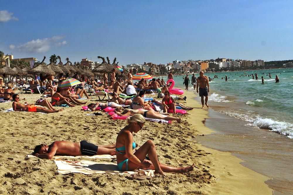 Wie sich die Playa de Palma in dieser Saison geschlagen hat.