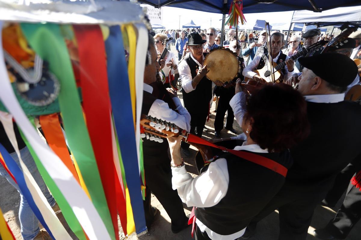 Fiesta de verdiales en Málaga (2022)