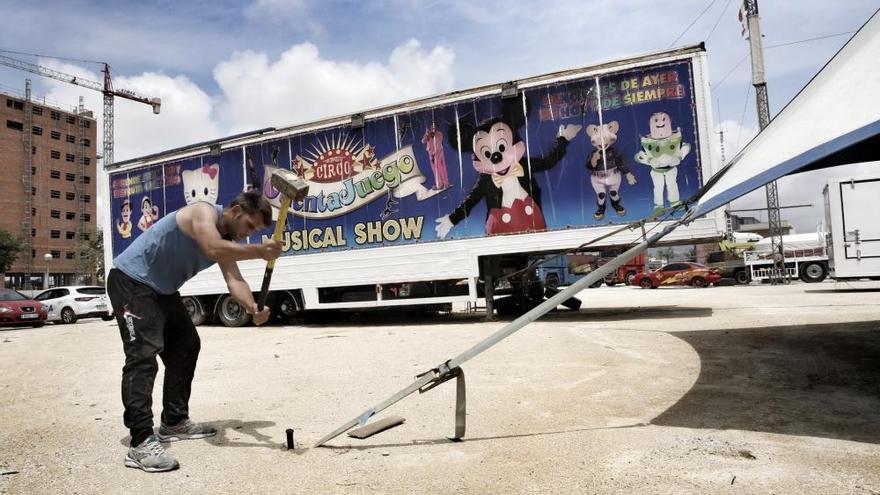 El alcalde de El Campello echa al circo por «carecer de licencia»