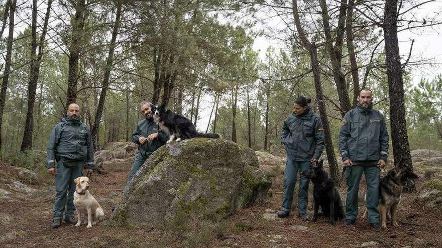 Agentes de la unidad canina de la Guardia Civil, con cuatro de los perros adiestrados.
