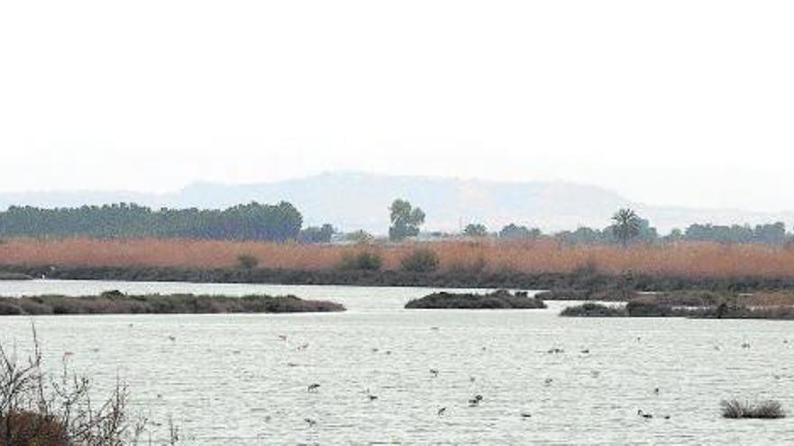 Gallocanta, reserva natural d’Aragó i considerada la  llacuna salada més gran d’Europa. 