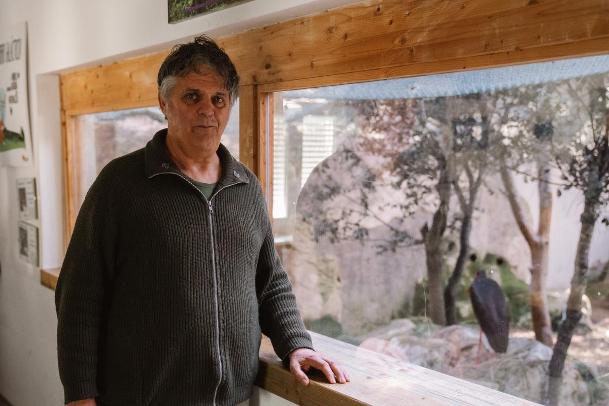 19.02.2026. MADRID. Imágenes de las instalaciones de GREFA (Grupo de Rehabilitación de la Fauna Autóctona y su Hábitat), una organización no gubernamental sin ánimo de lucro, que nace en 1981 como asociación para el estudio y conservación de la naturaleza. Foto: Alba Vigaray