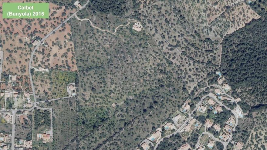 Abgeholzt und zugebaut: Wie sich die Landschaft auf Mallorca seit 2015 verändert hat