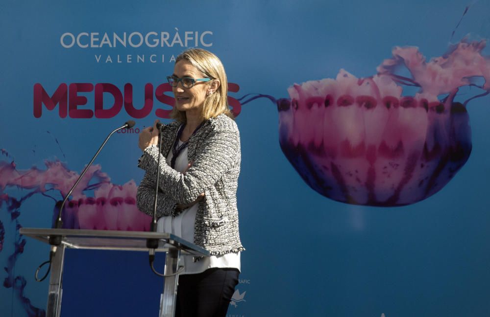 Inauguración de la muestra sobre medusas en el Oceanogràfic de València.