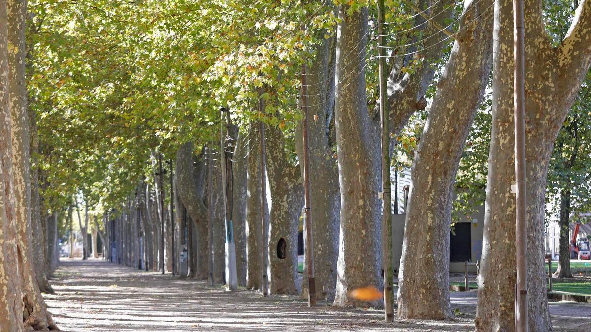 El parc de la Devesa de la ciutat de Girona