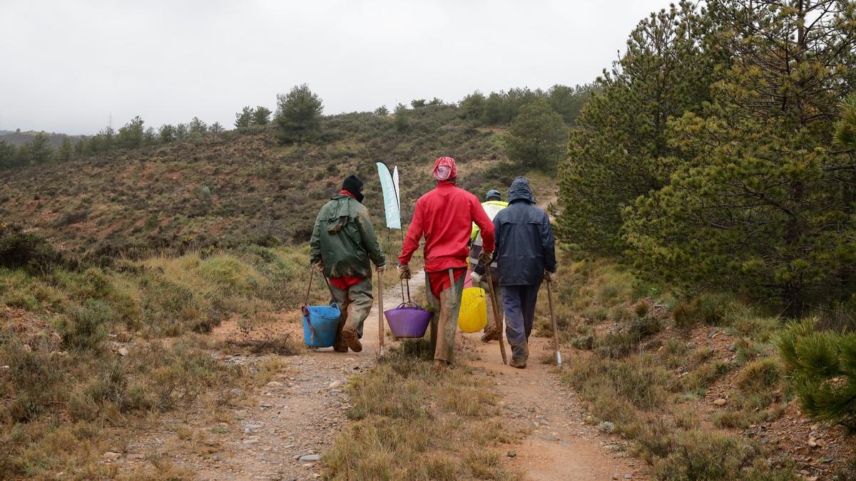 Una cuadrilla de reforestación en la zona del Moncayo.