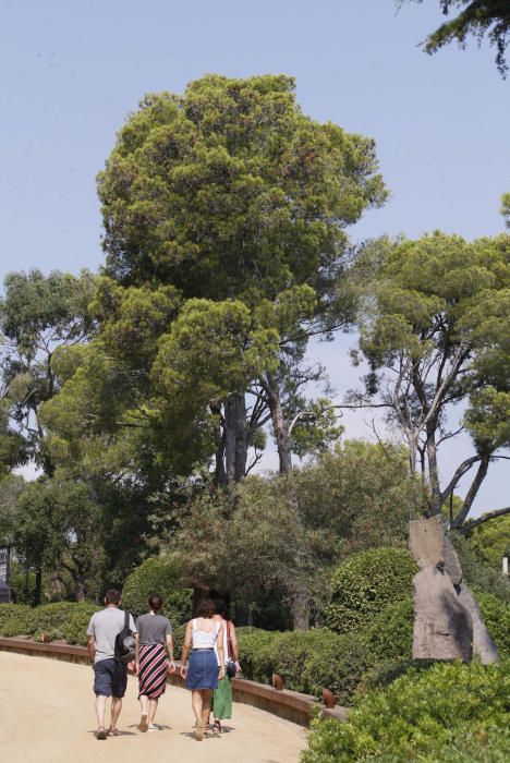 Jardins de Cap Roig