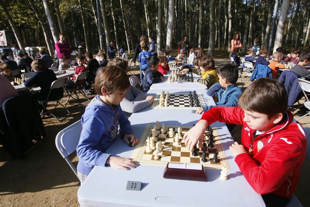 Campionat de Fires d''Escacs "Memorial Antoni Medinyà"