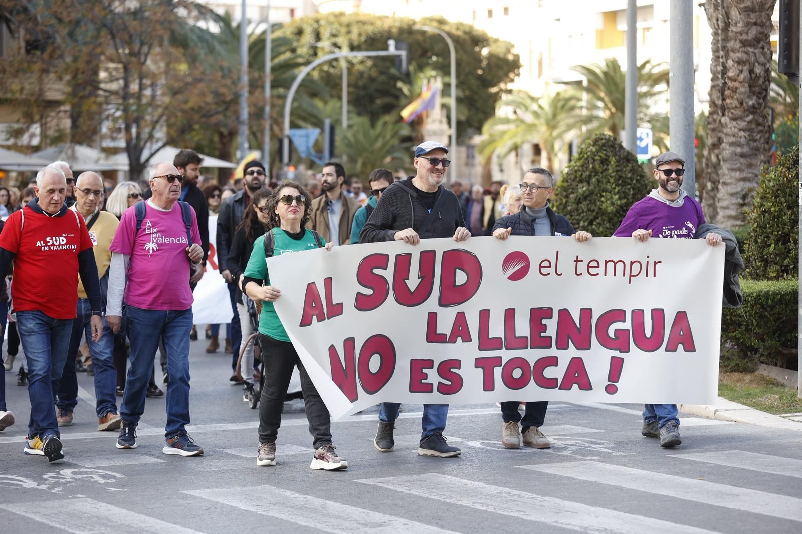 La manifestación 'Defensem la llengua, som País Valencià', en imágenes