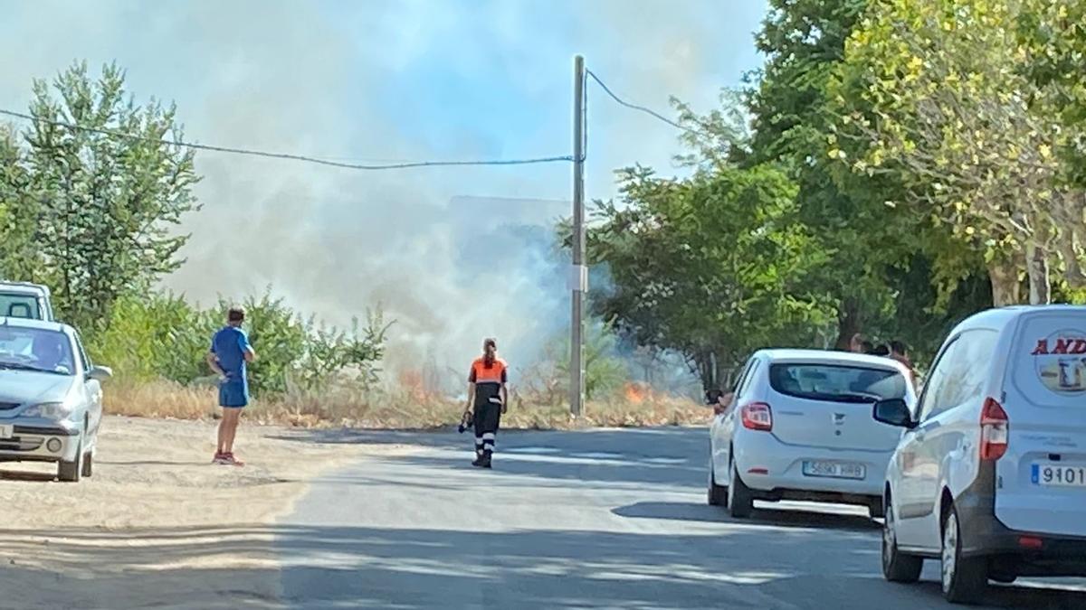 Incendio que ha calcinado cerca de una hectárea en el paseo del Canto