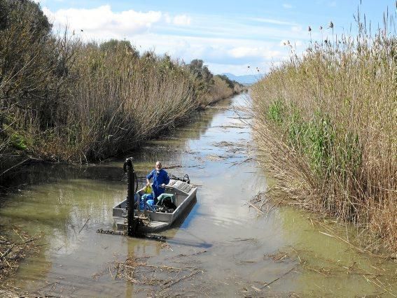 Albufera