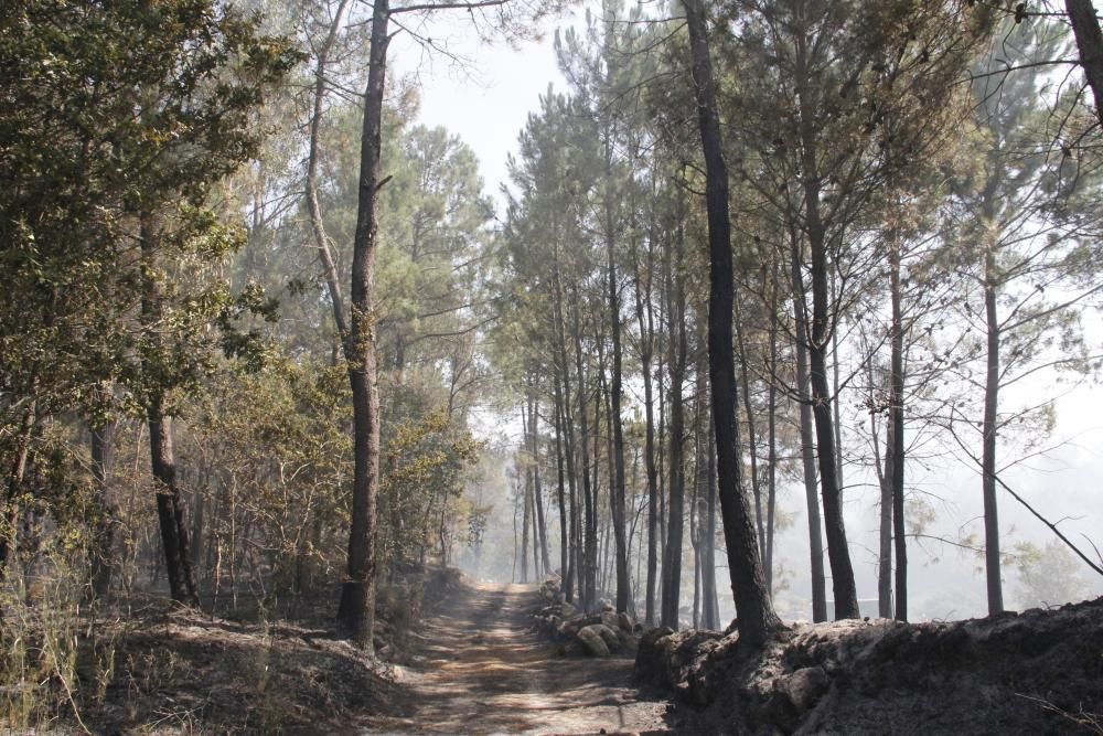 Incendios en Galicia | Vecinos de Cotobade intentan alejar el fuego de sus casas