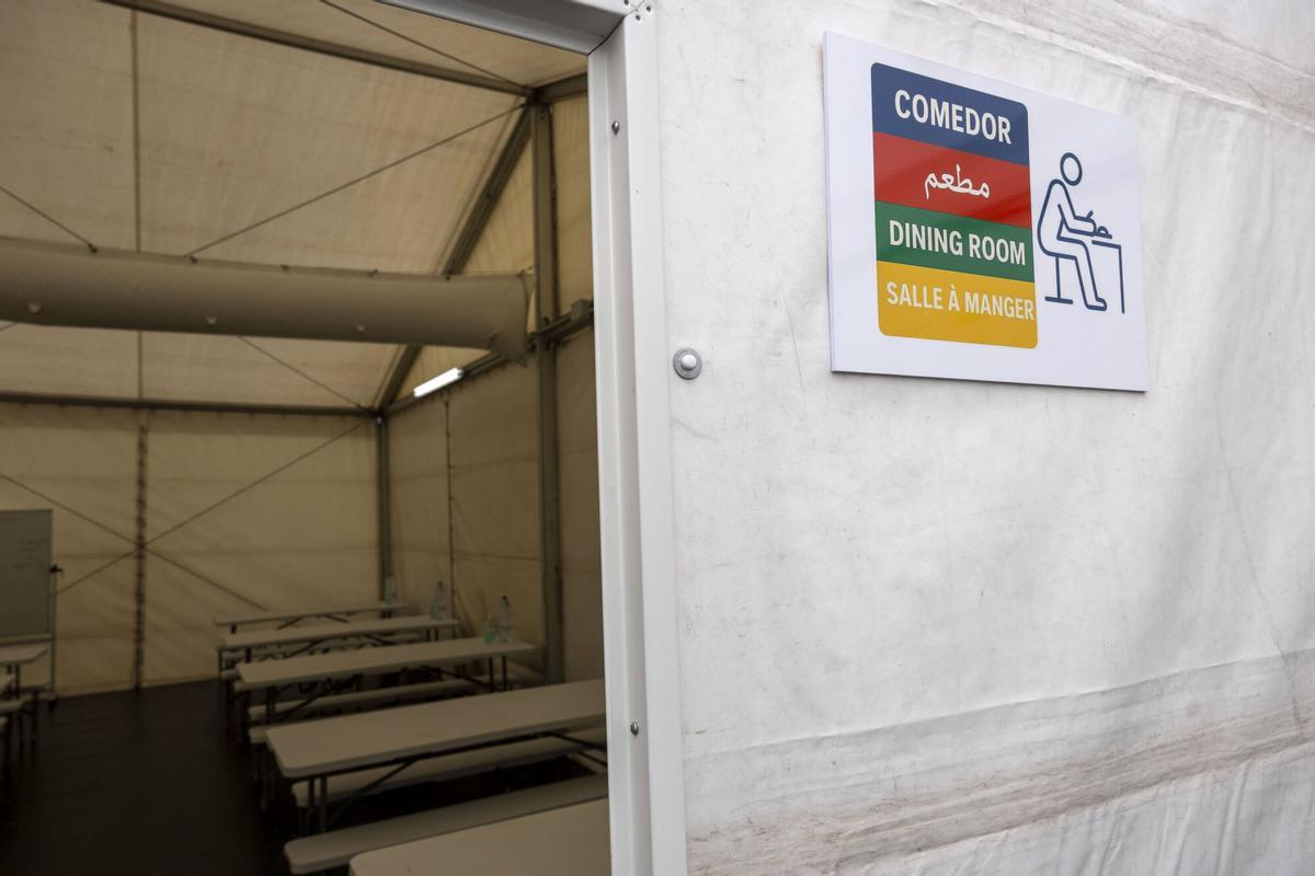 Así son los módulos de acogida temporal para migrantes instalados en el puerto de Palma.