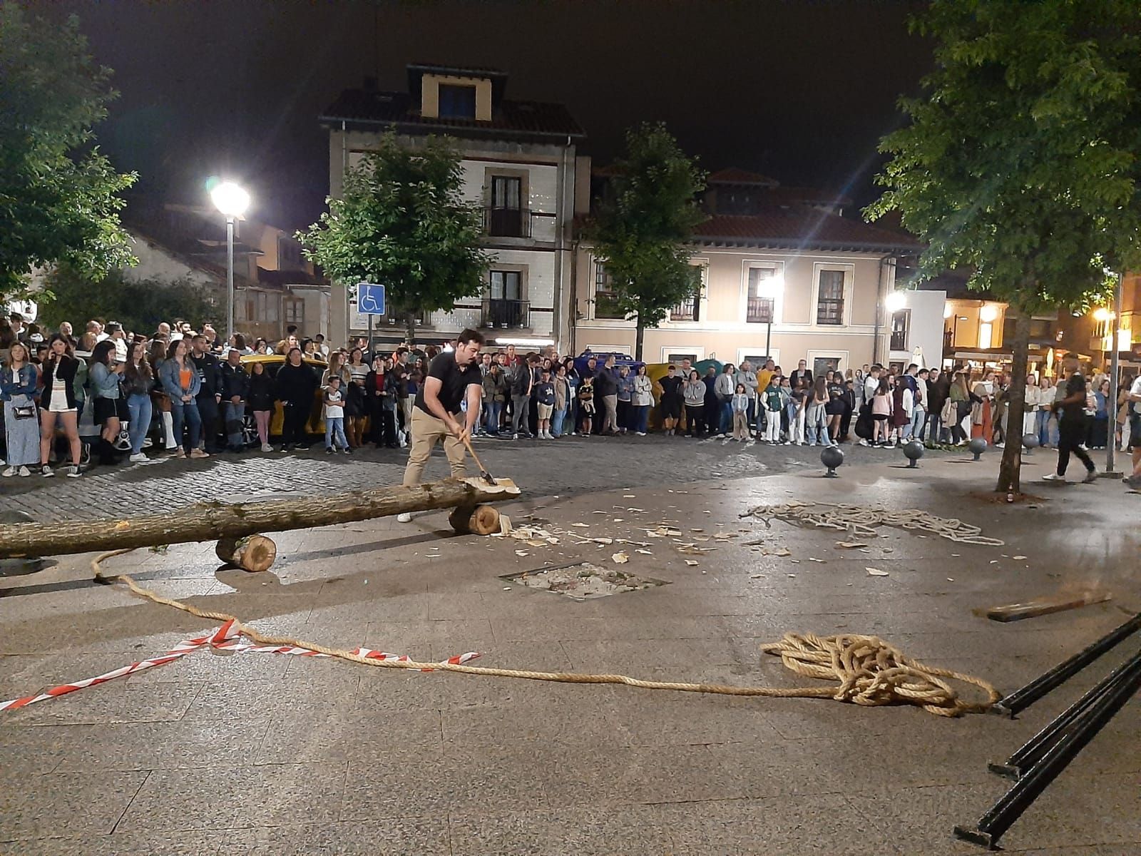 Los solteros plantan el álamo en Pola de Siero en la noche de San Juan