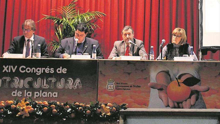 Los exportadores apoyarán la creación de una marca de calidad para la clemenules