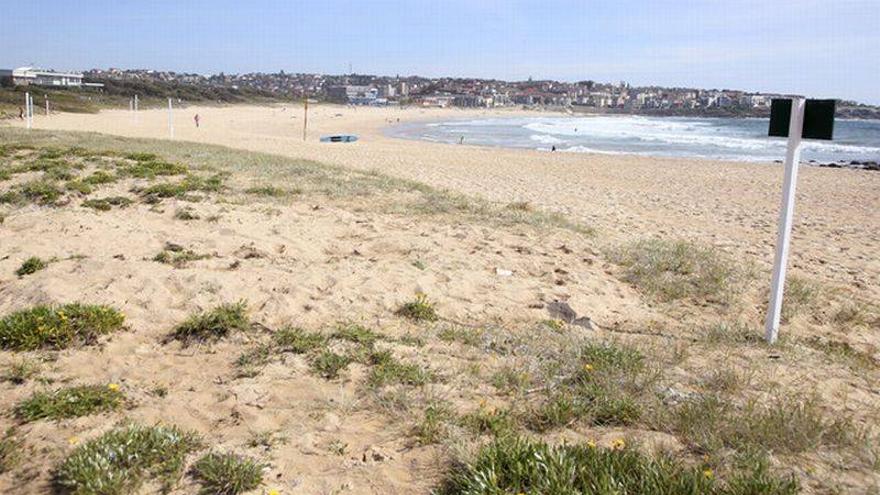 Dos niños que jugaban en la arena hallan el cadáver de un bebé en una playa de Sydney