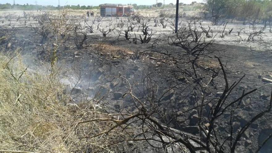 Un incendio arrasa 1,2 hectáreas de matorral en Catral y corta una carretera