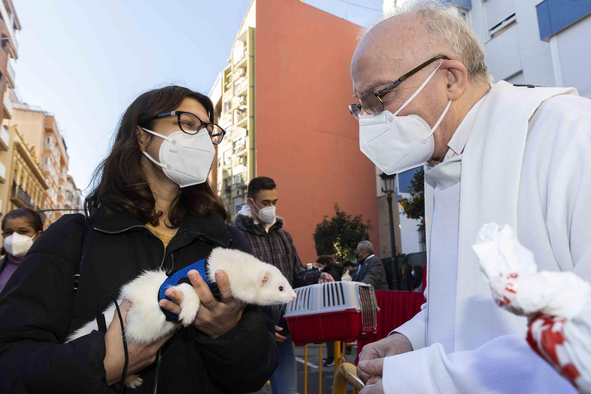 Búscate en la bendición de animales de Sant Antoni