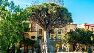 ¿Una noche al estilo Bridgerton en Canarias? Esta mansión del siglo XVIII lo hace posible