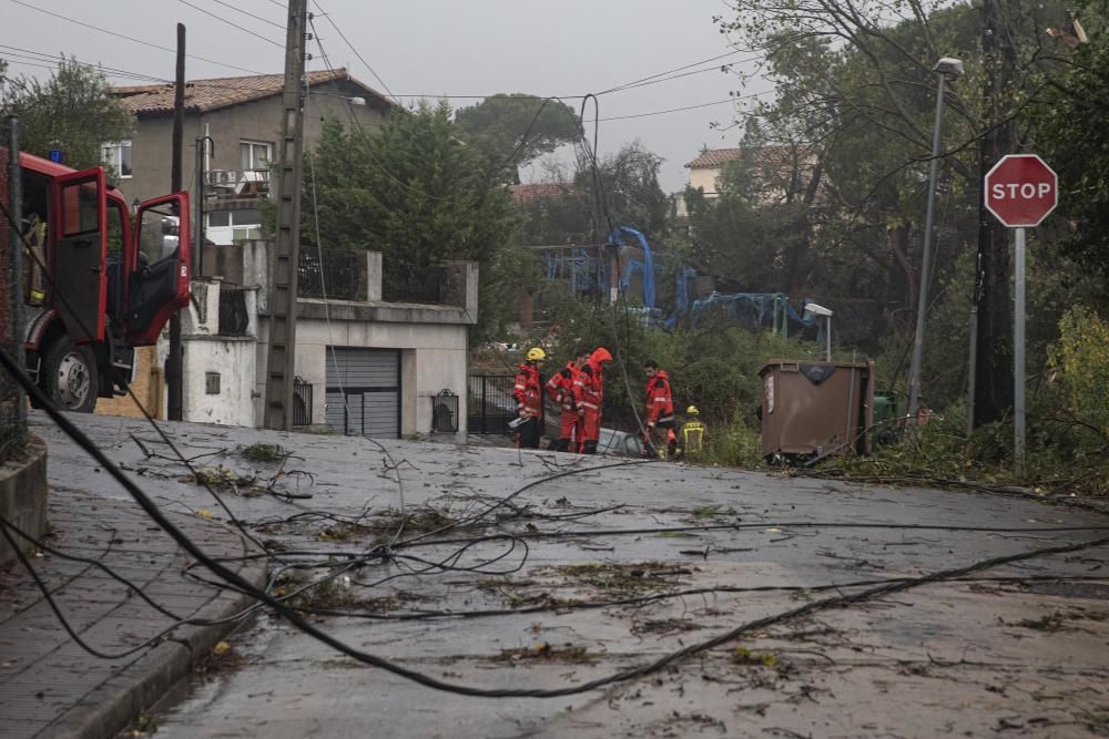 Destrosses a Riells i Viabrea per un tornado