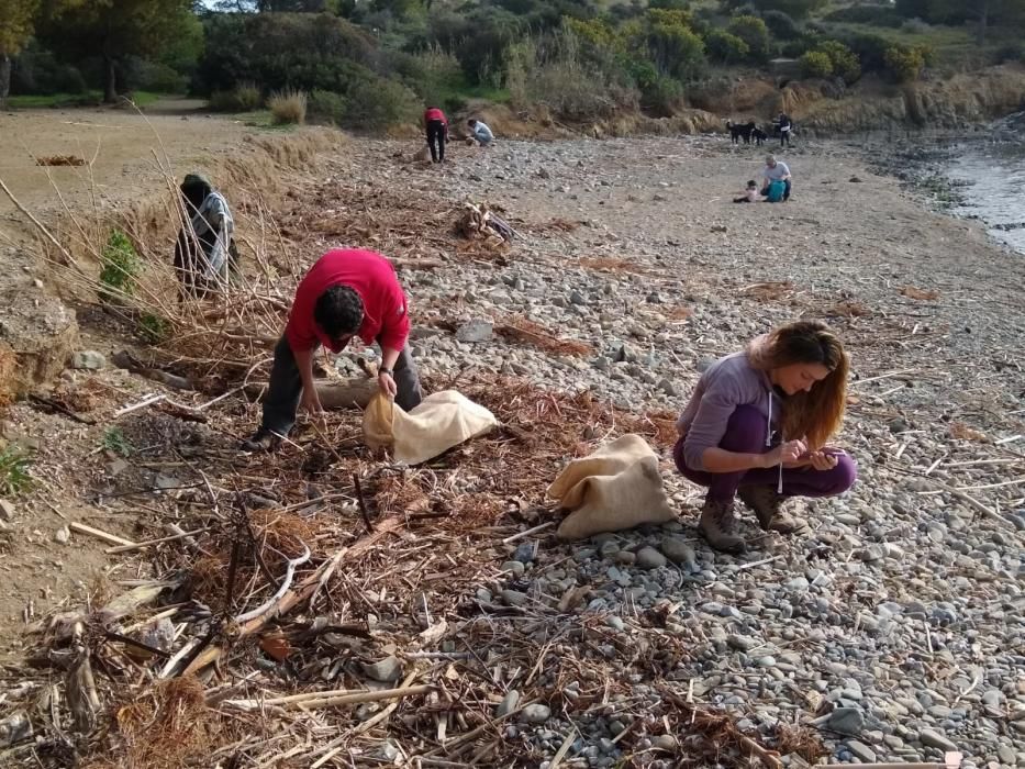 Els voluntaris de Platges Netes en plena feina