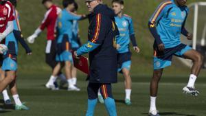 De la Fuente ultima una llista amb "20 o 22" fixos i un càsting obert