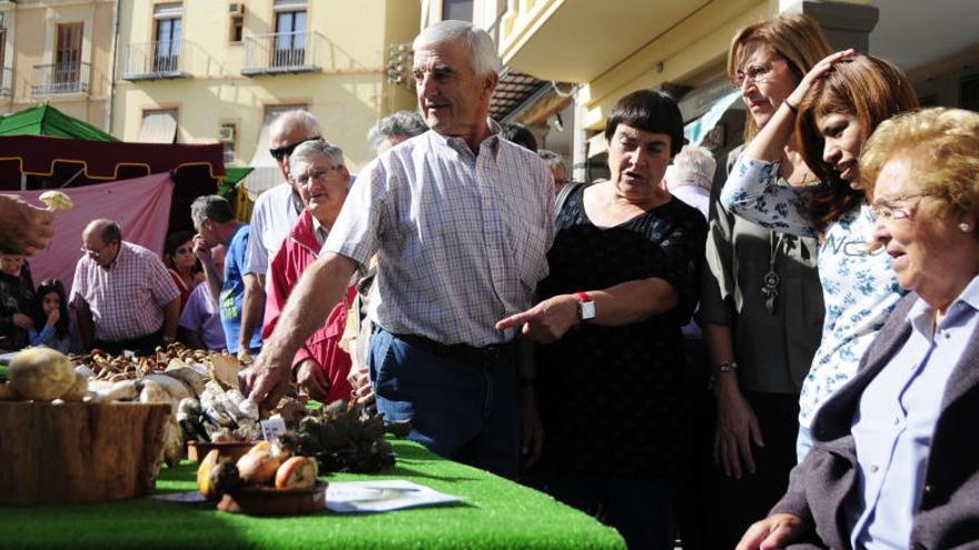 Visitants observen una de les parades, en una fira passada.