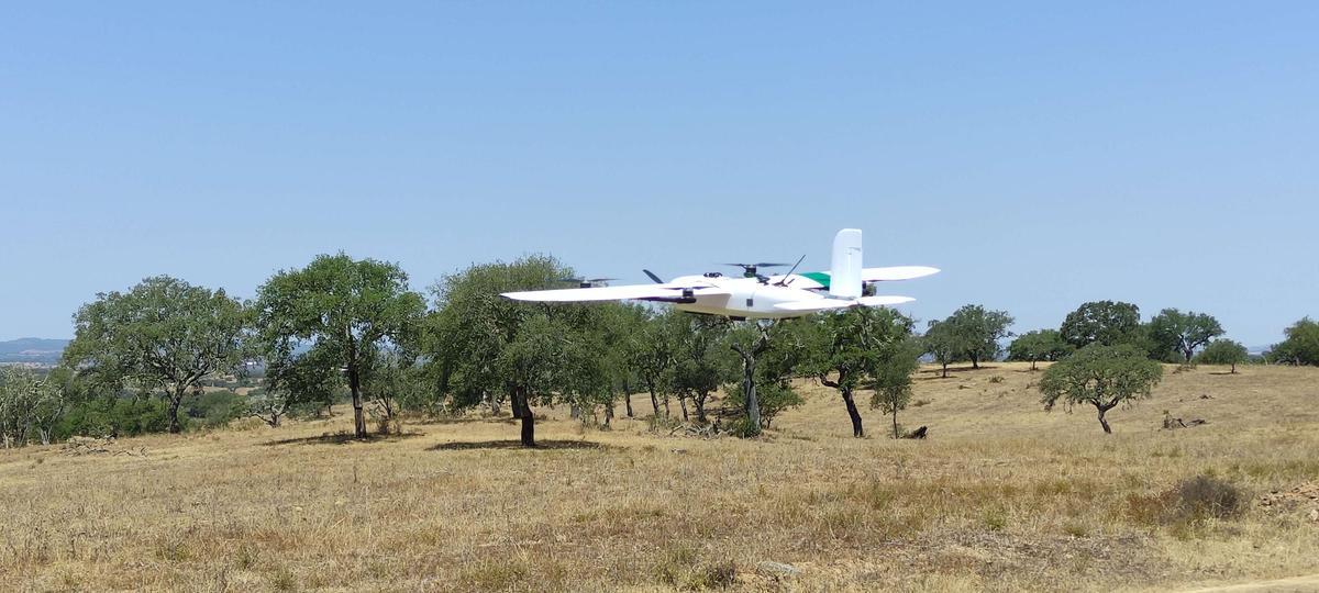 Toma de datos Ecosistema heterogéno.