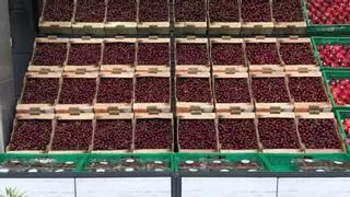Mercadona compra 1.720 toneladas de cerezas aragonesas para su venta