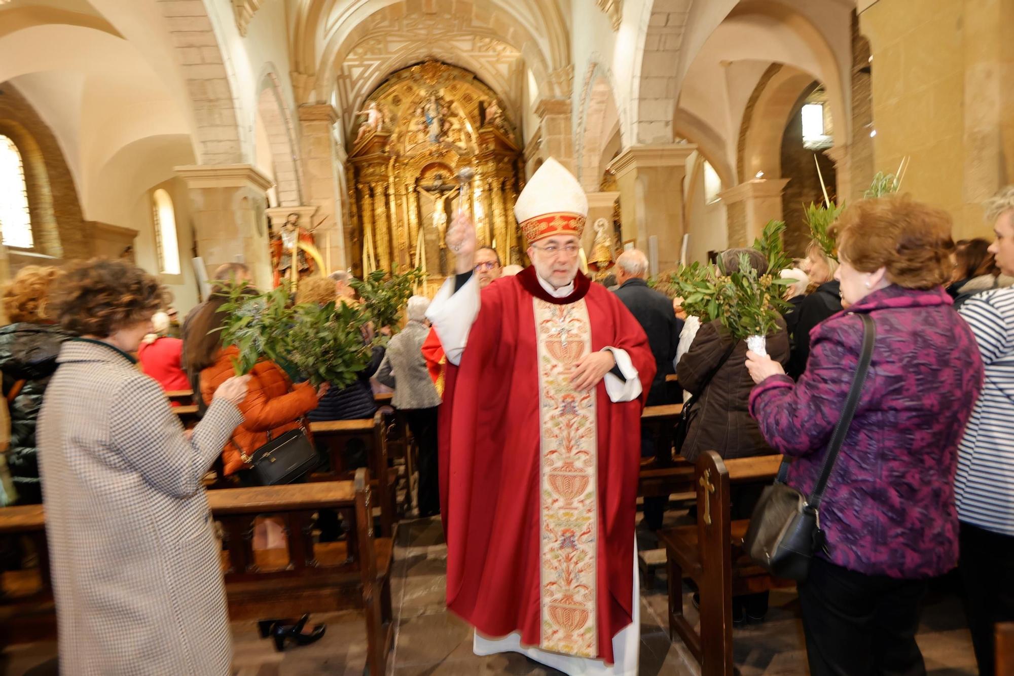 Procesión y bendición de las palmas en la Catedral.
