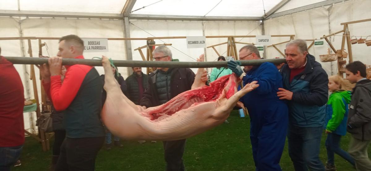 WhatsApp Image 2026-03-08 at 09.37.14