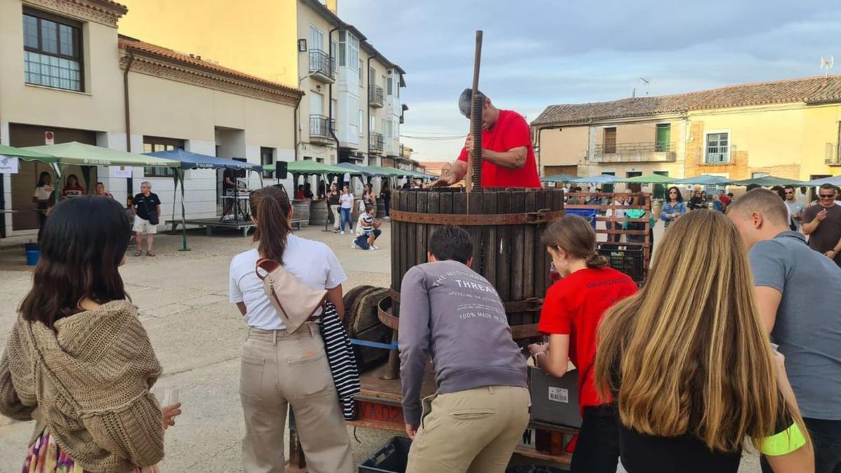 La pisa de uvas, acto central de las fiestas de Morales. | Cedida