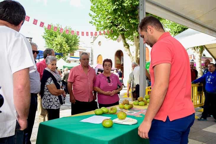 Fiesta de la manzana de Valleseco