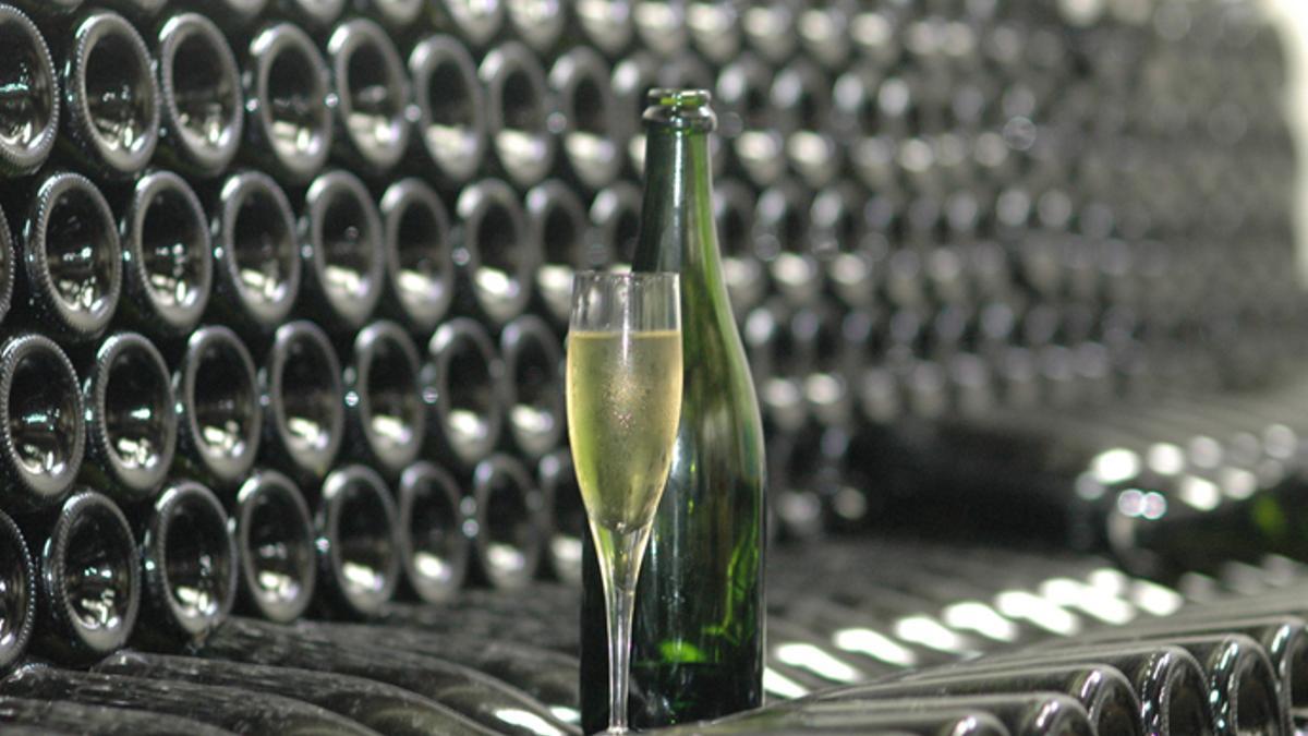 Los vinos espumosos protagonizan un concurso para sumilleres.