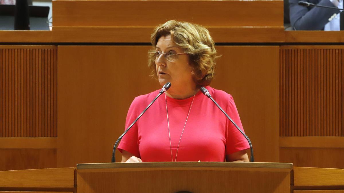 La consejera María Victoria Broto, este jueves, durante su intervención en el pleno.