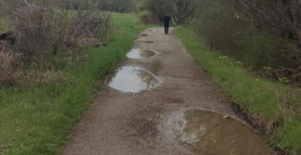 Un camí de la xarxa de senders senyalitzats a la Cerdanya