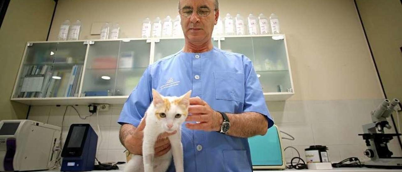 Armando Solís Vázquez de Prada, con &quot;Blanquito&quot;, paciente de su clínica.