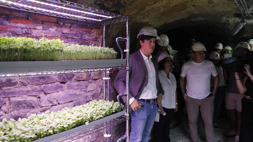 De Laviana a la Luna: así son los experimentos con cultivos subterráneos que se hacen en Carrio