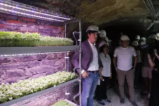 De Laviana a la Luna: así son los experimentos con cultivos subterráneos que se hacen en Carrio