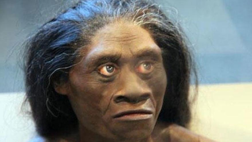Mujer adulta de Homo Floresiensis.