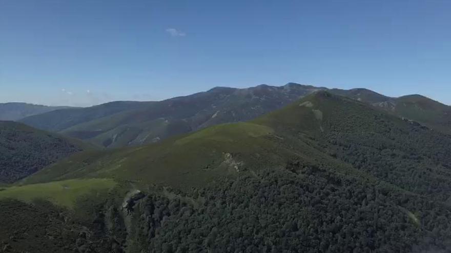 Vista aérea de las excavaciones de la Vía Carisa