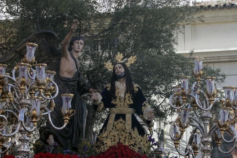 Domingo de Ramos de 2016 | Huerto