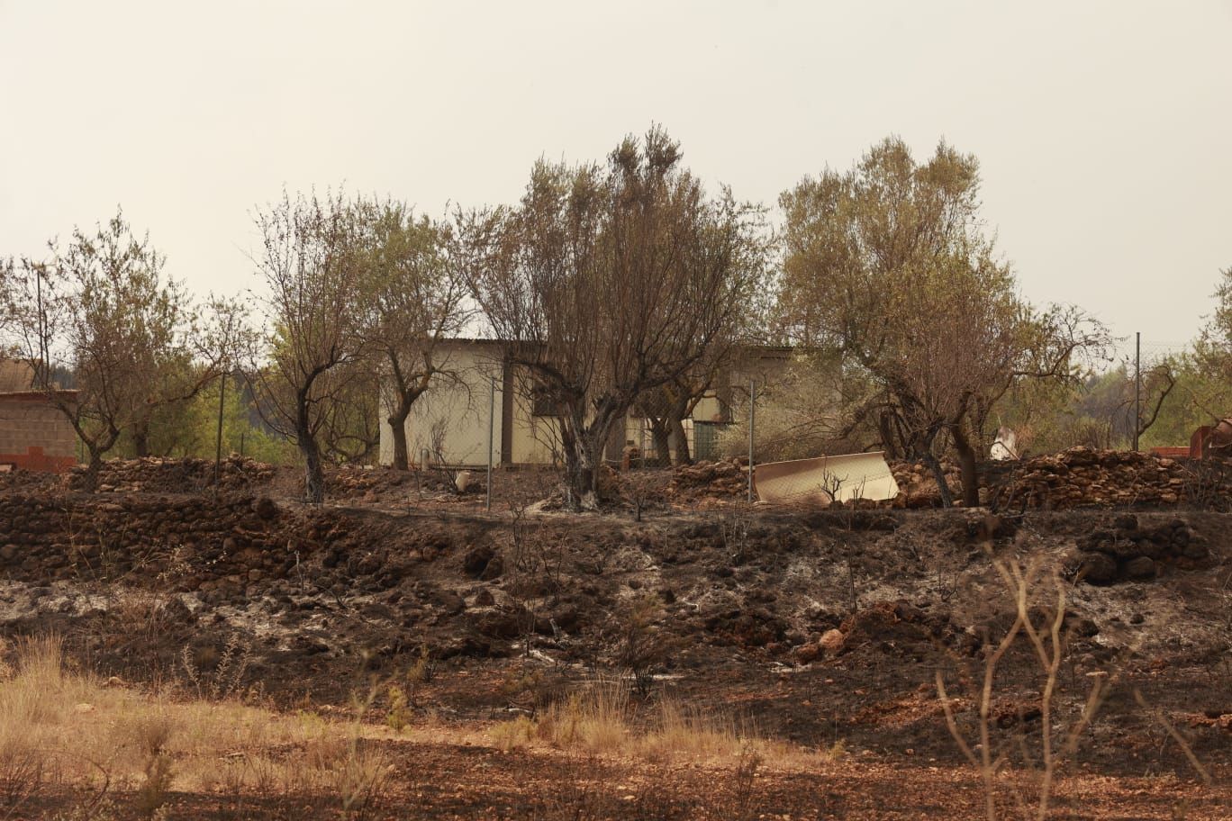 El incendio de Bejís, en imágenes