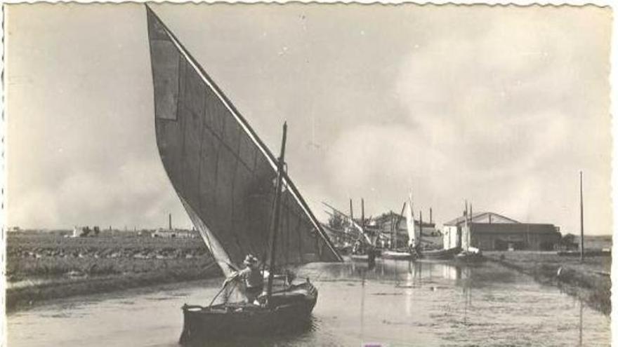 Miguel Ángel López-Egea