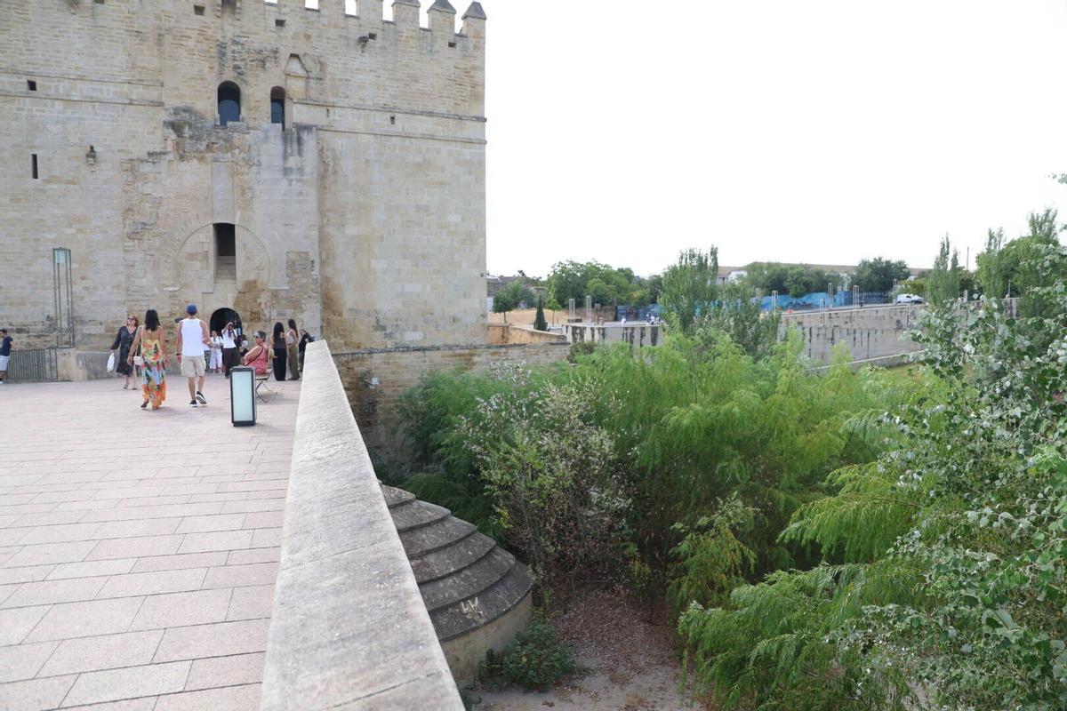 La vegetación toma el Puente Romano