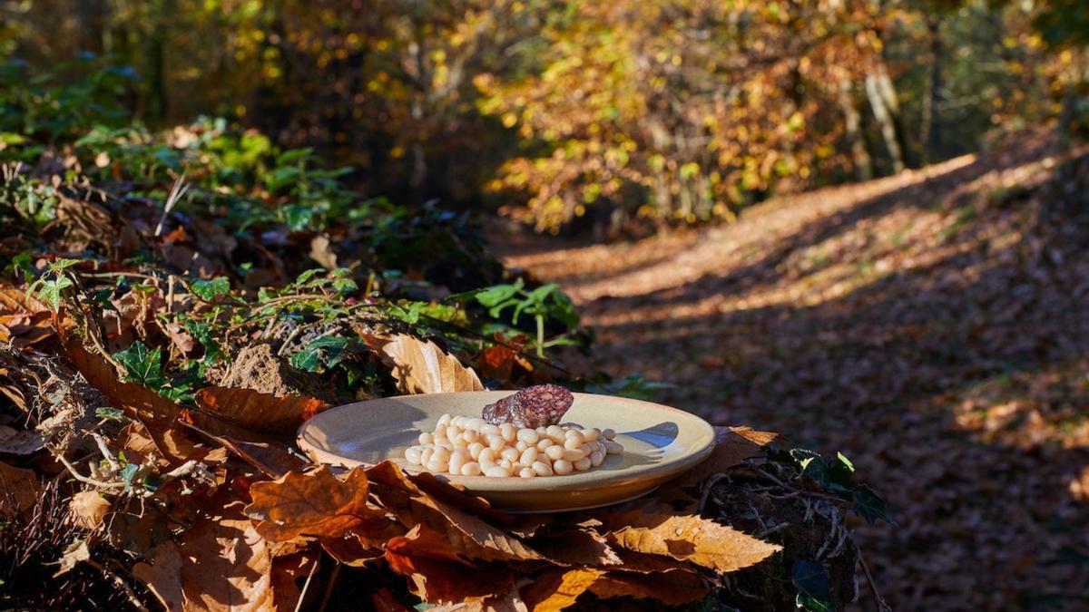 Gastronomía, Pirineu de Girona