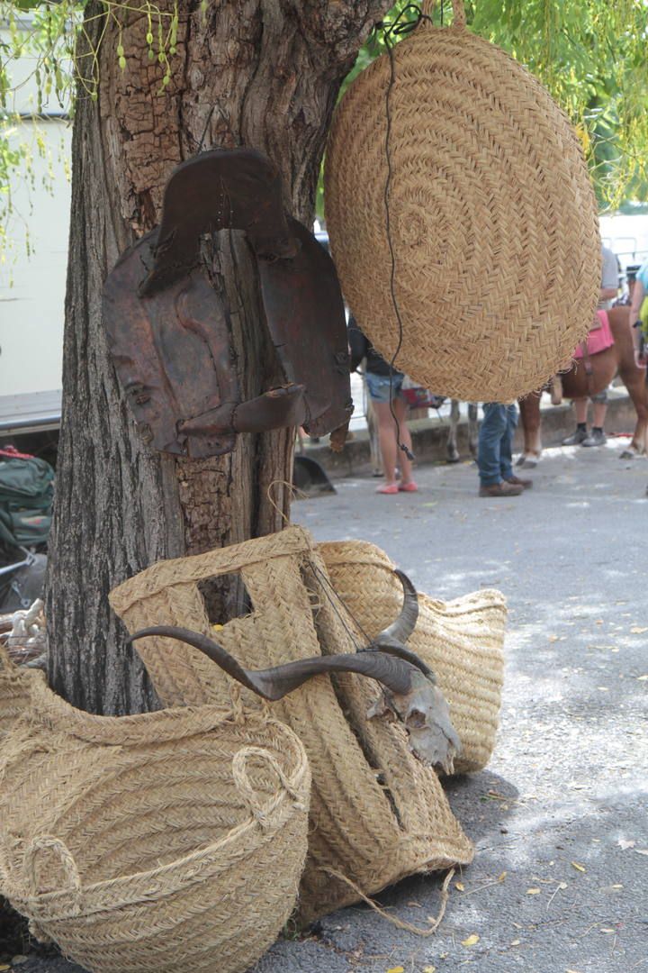 Markt Sineu