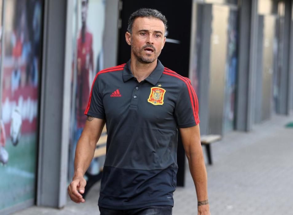 Así fue el paso de Luis Enrique por la Selección