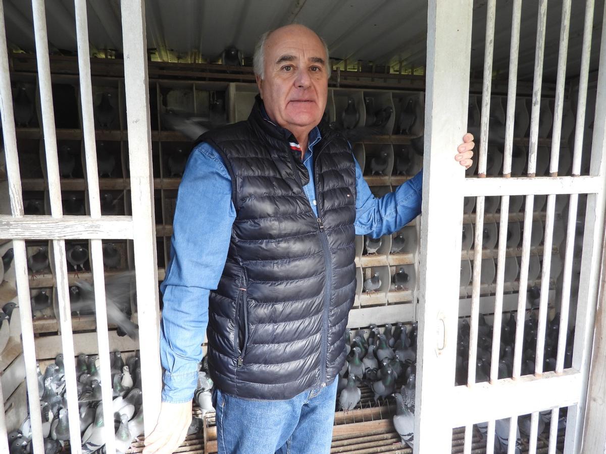 El compostelano de las mil palomas mensajeras: "Solté una en Barcelona y regresó a Santiago"